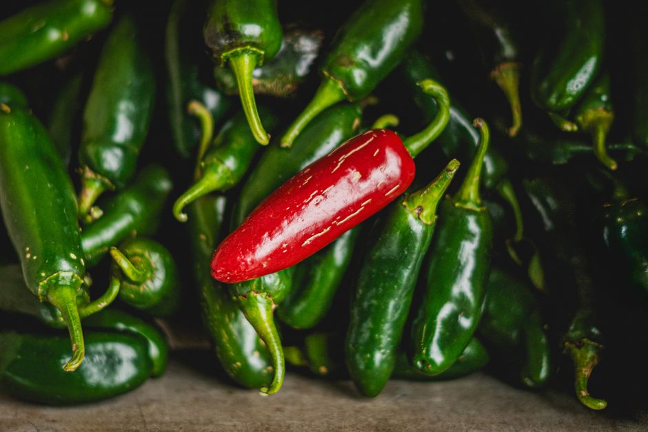 OpenAI's Jalapeño Chip Outperforms Nvidia