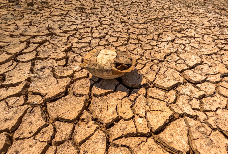 Heatwaves Hit European Tourism and Energy Sectors Hard