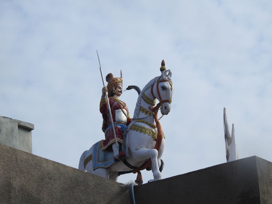 Maharana Pratap Sports University Launches in Jaipur