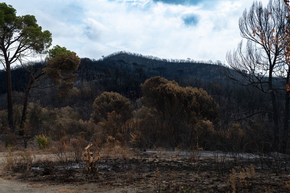 Tech Innovations Disrupt Wildfire Fighting