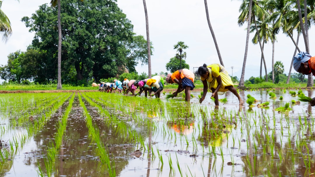 Over 1100 seats remain vacant in TN agricultural courses