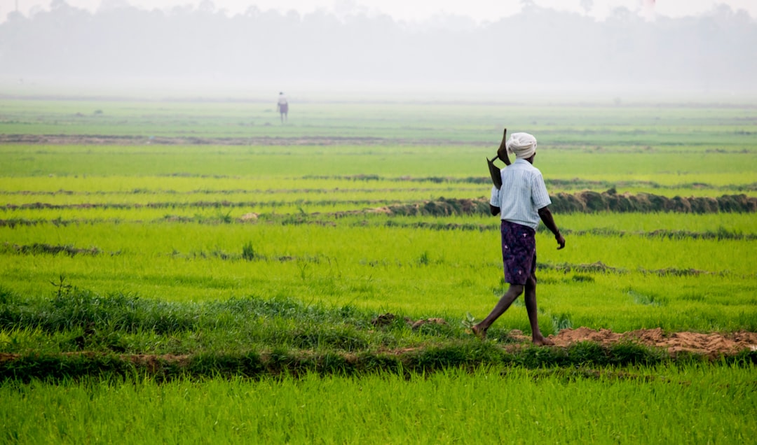 6,000 Agriculture Students Secure ₹21.35 Crore Scholarships