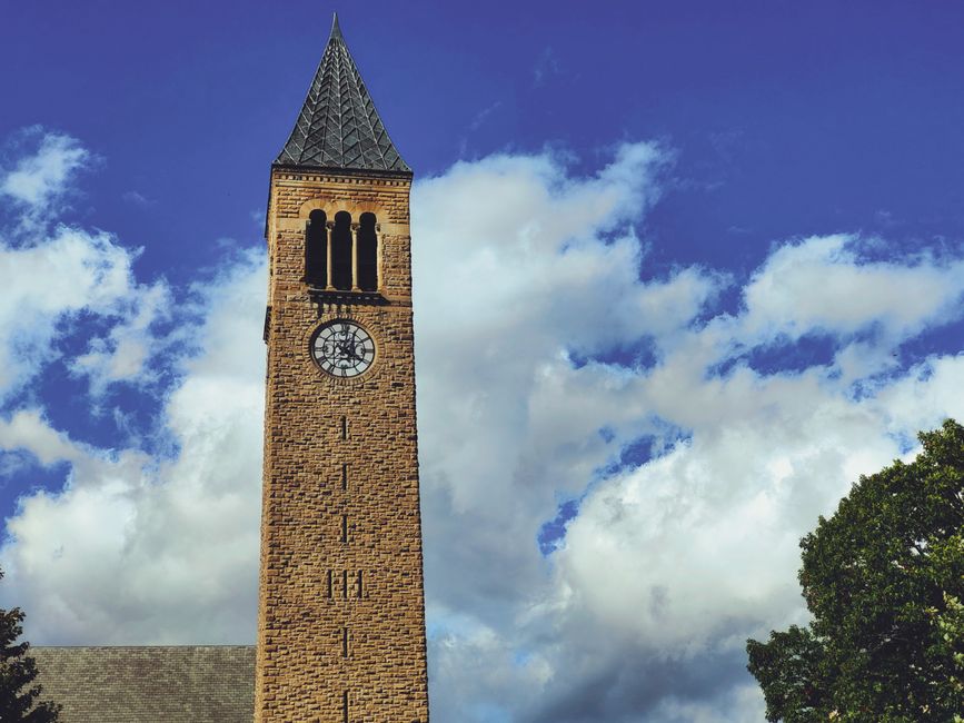Cornell Bans Dorm Bear Skinning After Student Incident