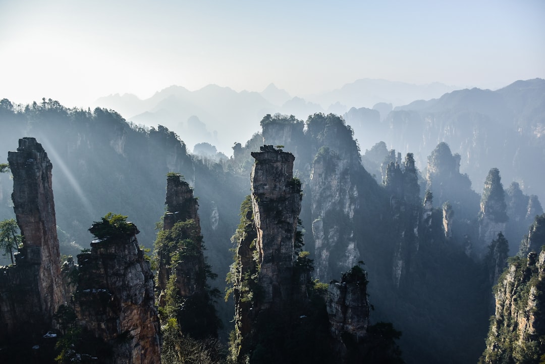 As China Hunts for Scientific Talent, the US Makes It Easier