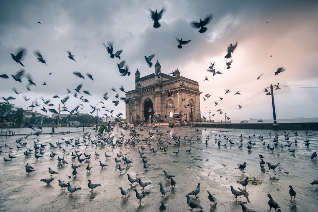 EPF Insights for Indian Expats