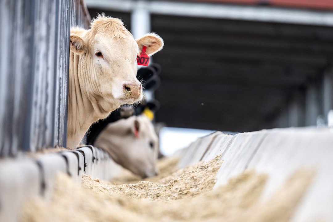 Feedstock Sourcing Fuels CBG Ecosystem Growth