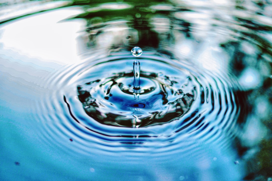 University spinout to launch water quality app for UK and US waters | Career Outlook
