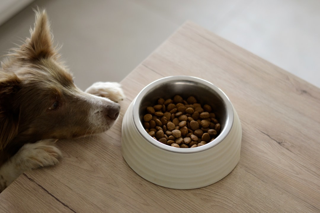 Wipro Consumer Care forays into pet food; to invest ₹150 cr