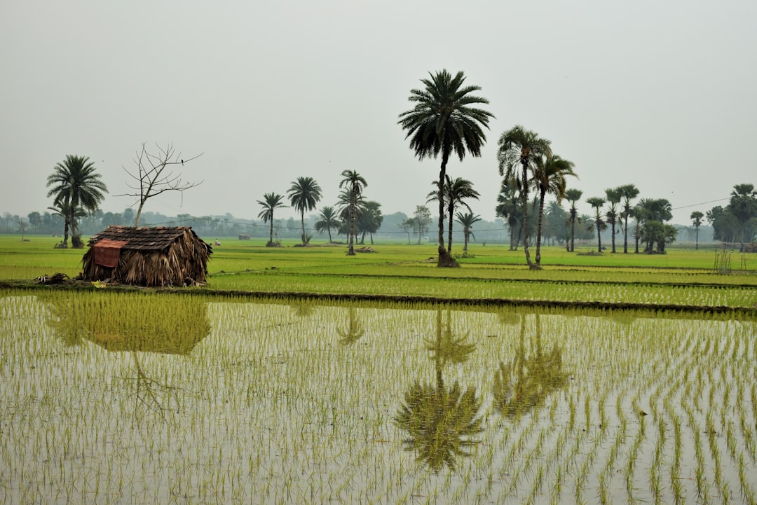 Bangladesh seeks fair economic ties with India