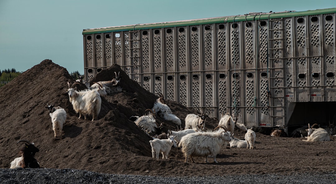 First US Phosphate Plant in Decades Planned Amid Global Conflict
