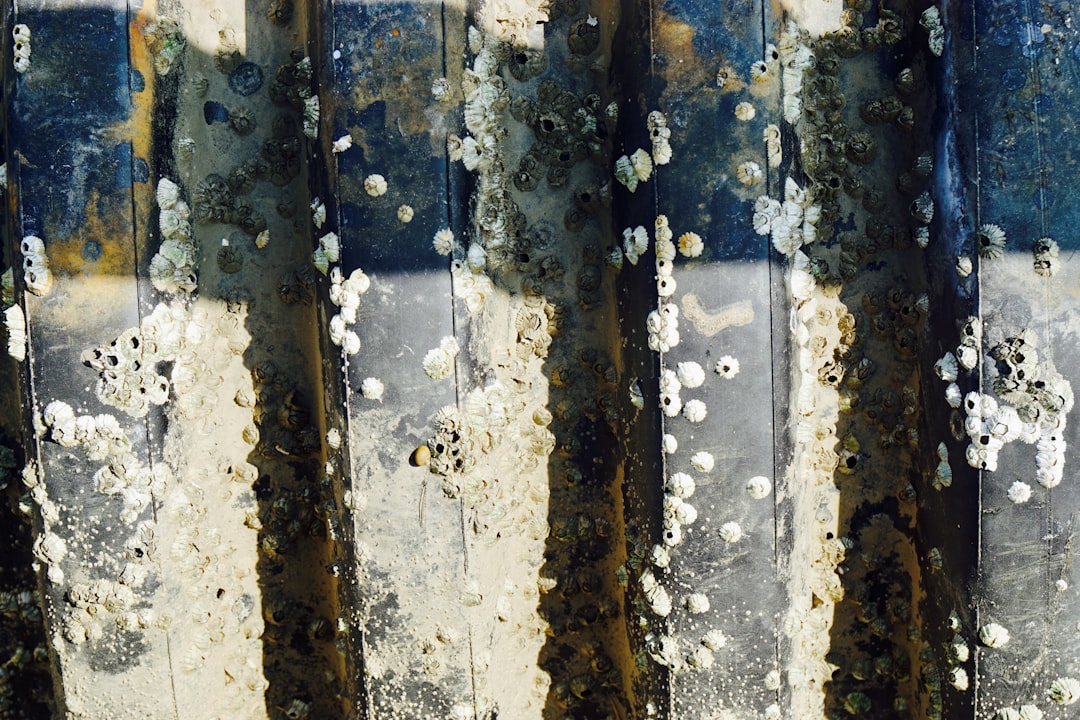 SIAM Revises Stance on E20 Chloride Concerns