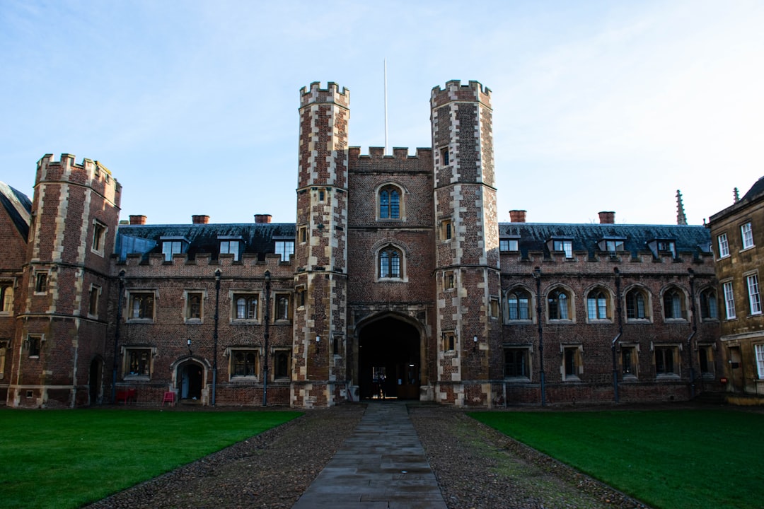 The Vulnerability of Tenured Professors Amid Financial Cuts