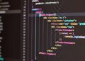 Algorithmic Auditing Reshapes Government Bureaucracy