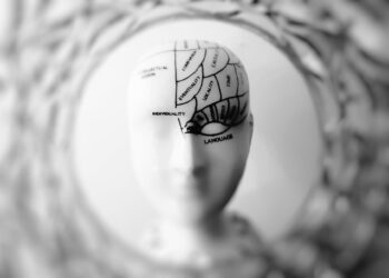 Brain chemistry reshapes career satisfaction metrics