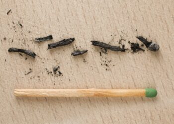 Burnout’s Hidden Toll Undermines Career Capital