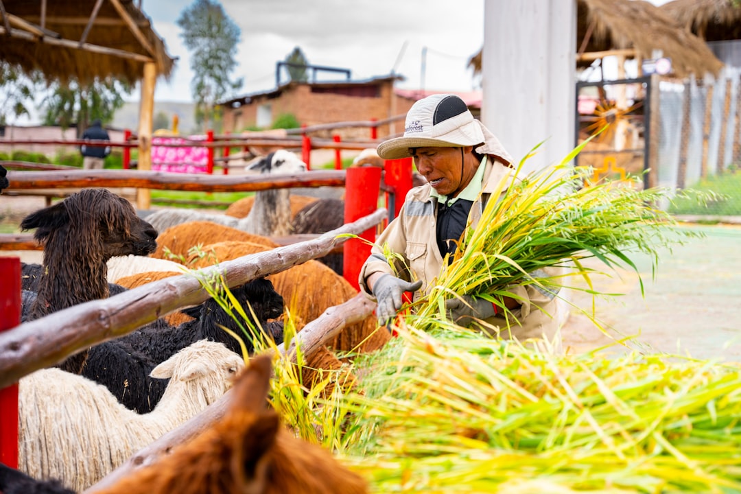 Peru’s Economy Unexpectedly Slows as Fishing, Agriculture Slump
