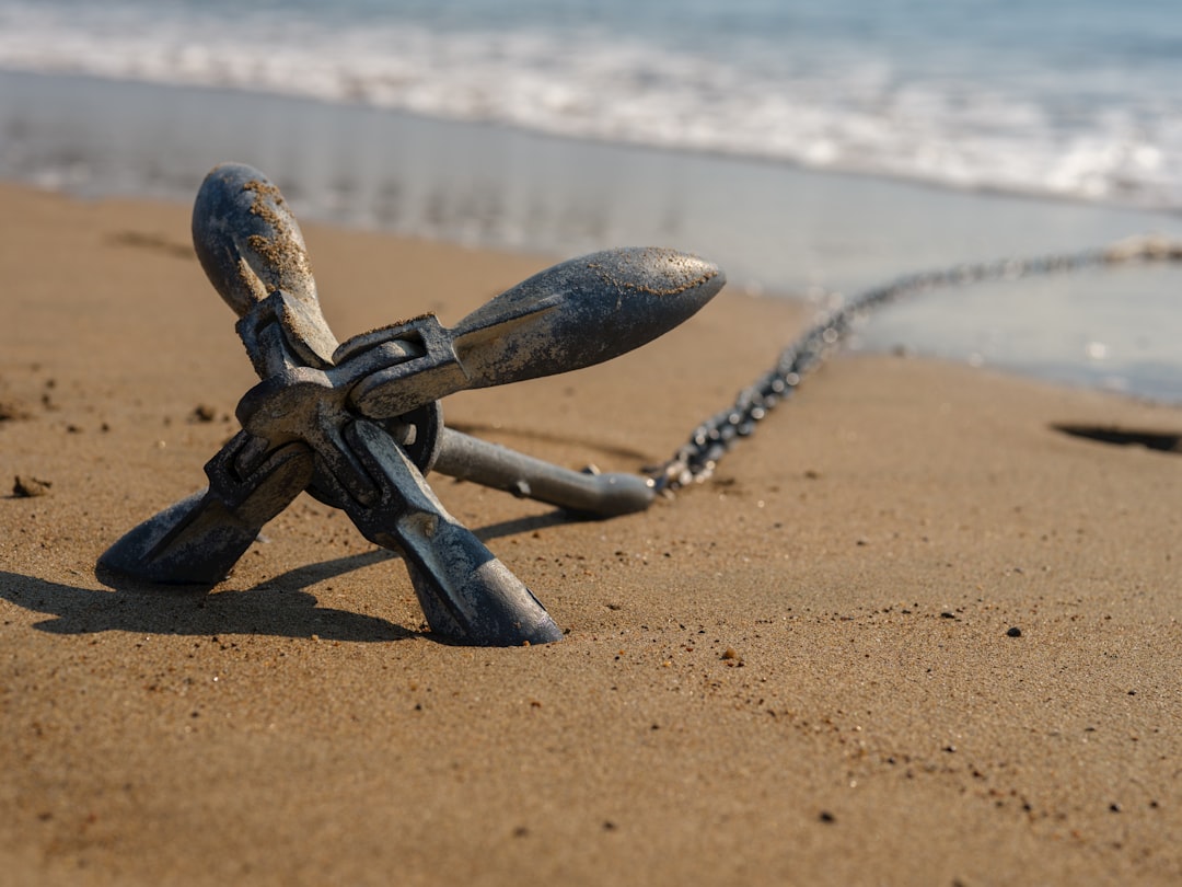 MFDs Serve as Behavioral Anchors for Investors