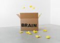 Cognitive biases anchor workers in outdated careers