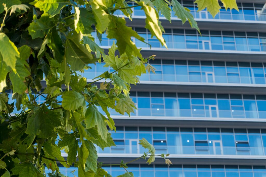 CSR and B Corps Converge to Redefine Sustainable Entrepreneurship