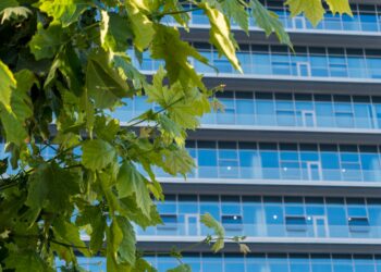 CSR and B Corps Converge to Redefine Sustainable Entrepreneurship
