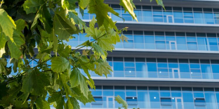 CSR and B Corps Converge to Redefine Sustainable Entrepreneurship