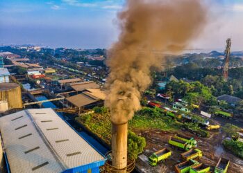 Emerging Markets Accelerate Carbon Cuts via Circular Economy