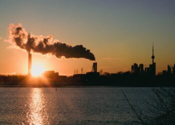 ESG disclosures reshape corporate reputation worldwide