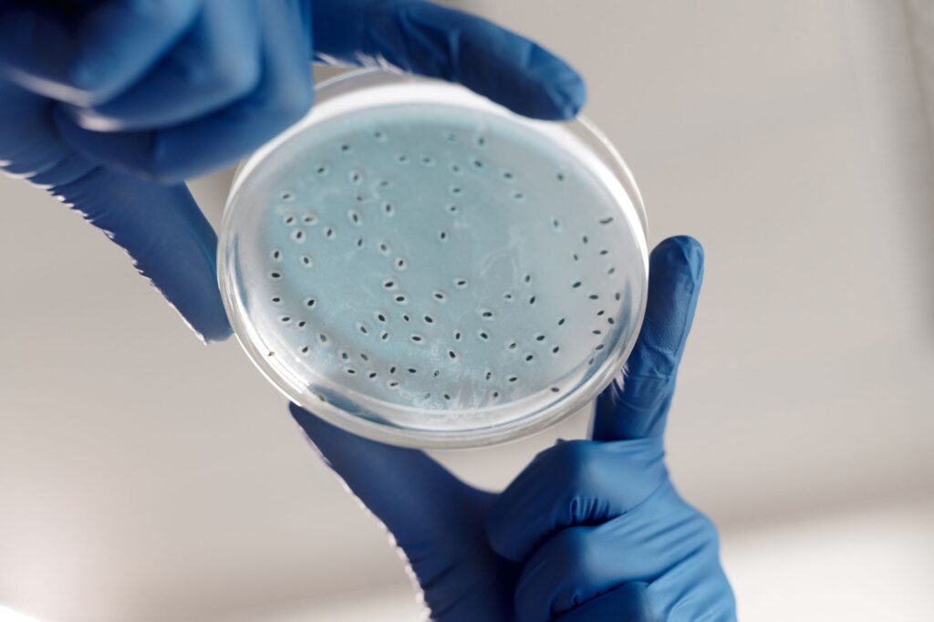 Glasgow Biotech Firm Mironid Secures €39.9 Million Series B to Advance ADPKD Therapy