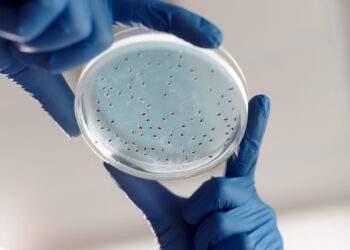 Glasgow Biotech Firm Mironid Secures €39.9 Million Series B to Advance ADPKD Therapy