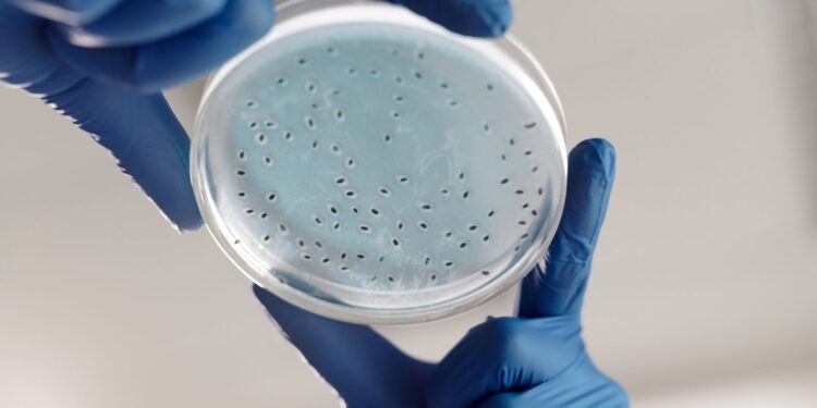 Glasgow Biotech Firm Mironid Secures €39.9 Million Series B to Advance ADPKD Therapy