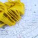 Global talent migration redefines economic geography