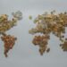 Global trade shifts redefine career capital