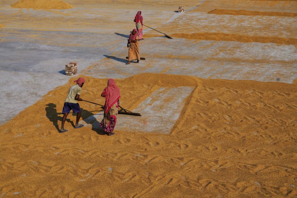 Goldman Sachs Report Finds Generative AI Could Raise Productivity for Up to Half of India’s Non‑Agricultural Workforce
