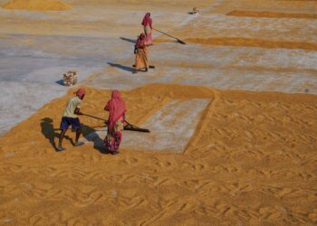 Goldman Sachs Report Finds Generative AI Could Raise Productivity for Up to Half of India’s Non‑Agricultural Workforce