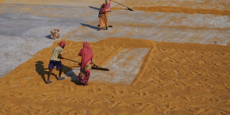 Goldman Sachs Report Finds Generative AI Could Raise Productivity for Up to Half of India’s Non‑Agricultural Workforce