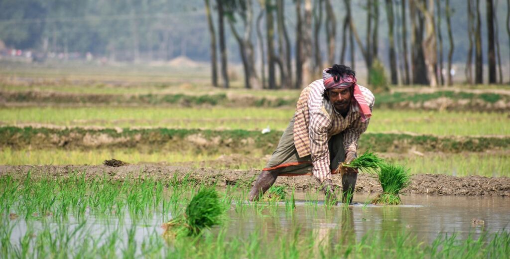 Goldman Sachs Report Finds Generative AI Could Raise Productivity for Up to Half of India’s Non‑Agricultural Workforce