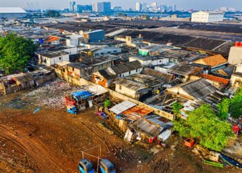 Government data analytics shrinks urban inequality gaps