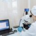 Helsinki-Based Aiforia Receives €20 Million Venture Debt from European Investment Bank