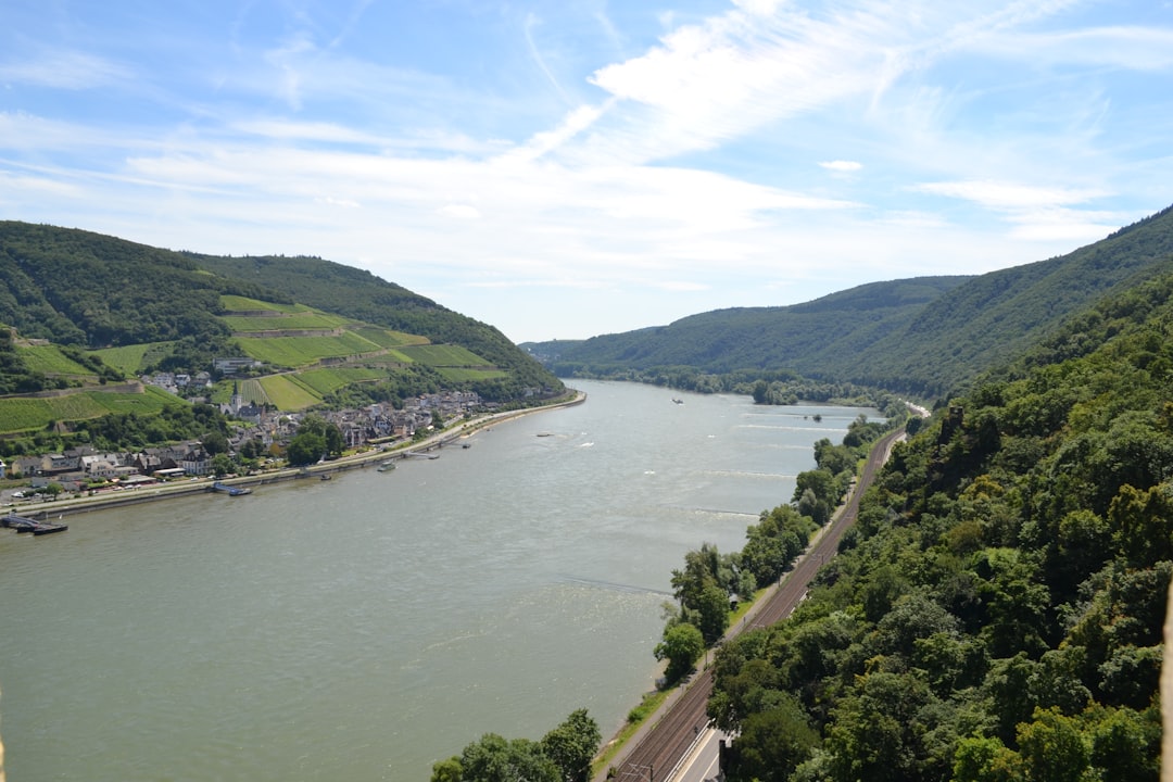 Drought Disrupts Shipping Costs and Supply Chains on the Rhine