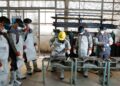 India’s Skill Mission Drives Measurable Gains in Employment