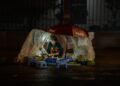 Informal entrepreneurship reshapes global labor markets