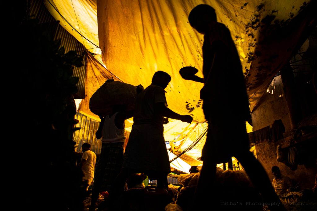 Informal entrepreneurship reshapes global labor markets