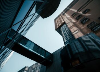 Innovation and Regulation Converge on Startup Growth