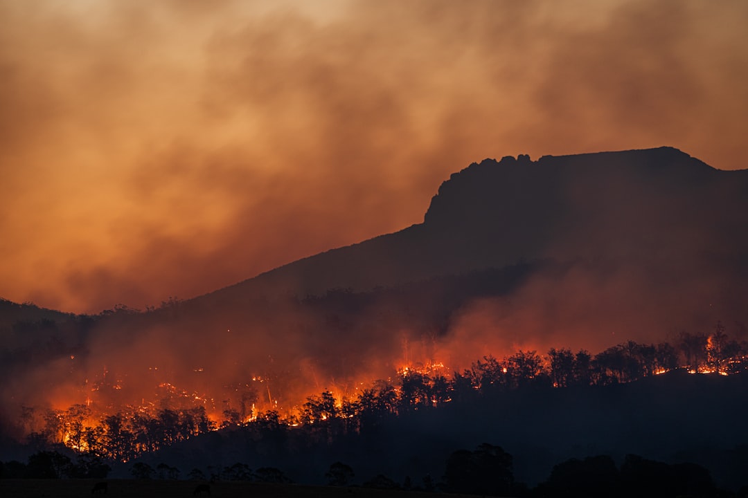 Tech Innovations Disrupt Wildfire Fighting