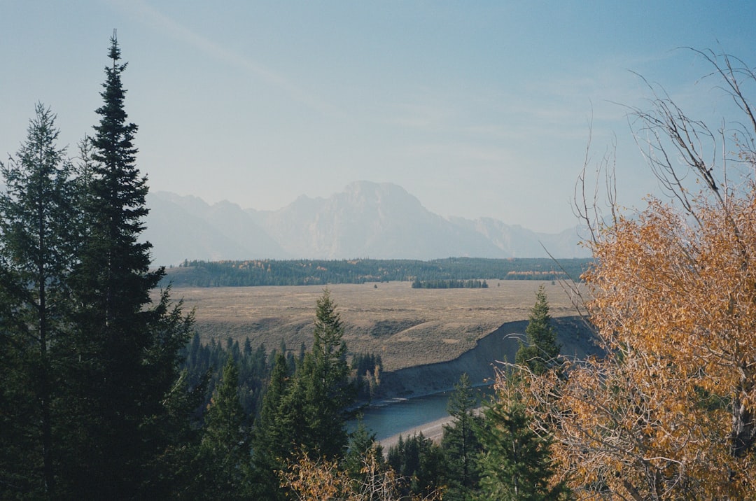Nvidia Drives AI Innovation Amid Jackson Hole Insights