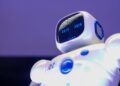 Leveraging Collective Intelligence to Enhance AI Decision Making