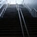 Male allies reshape women’s climb to leadership