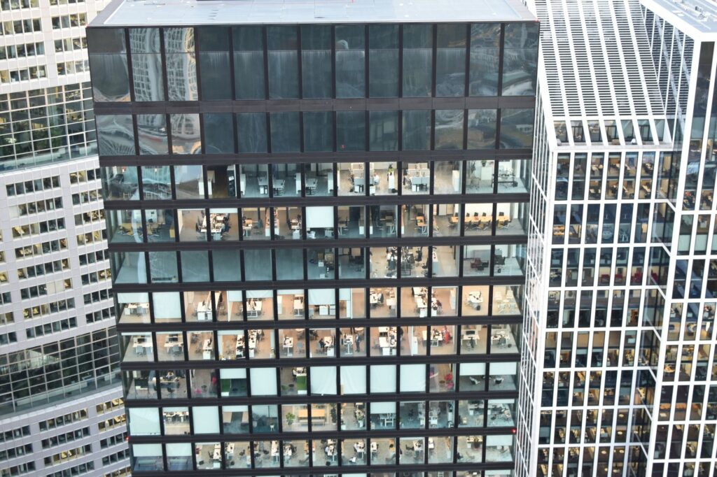 Micro‑Specialization Redefines Modern Workplace Value