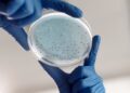 Mironid Secures €39.9 Million Series B to Advance ADPKD Treatment