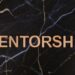 Multidisciplinary Mentorship Redefines Career Mobility